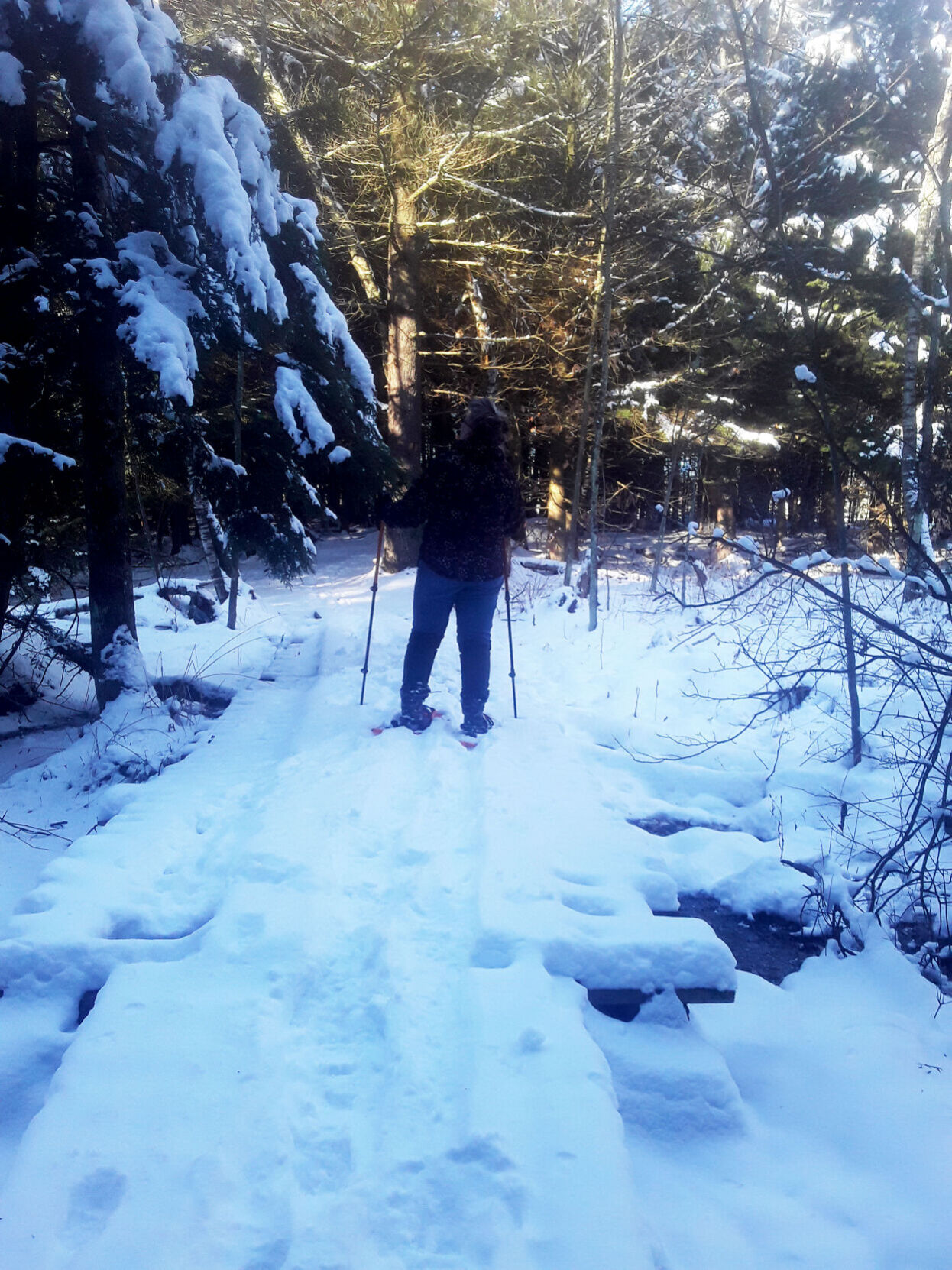 Arrowhead snowshoeing